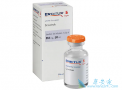 �й������������Ŀ�EGFR����������������