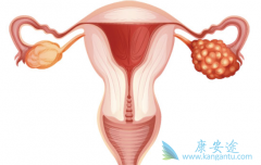 ��Ӧ�����ѳ��������Ƶ�ҩ������Щ��