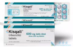 ���ٰ���ҩ������(Ribociclib)�ĸ����ö�����Щ��