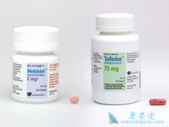 �����������������������ǰ���BRAF��MEK��ֱ�����ı�׼�Ʒ�