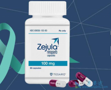 PARP���Ƽ�����������ҩ���Ӱ���������Ч����