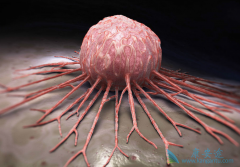 �������������������������𣿶��������Ƿ�û���Σ�