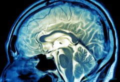 ������֢״����ȡ����­�������Ĳ�λ