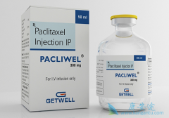 �Ŀ���ɼ��(paclitaxel)��������ɵĸ�������С��