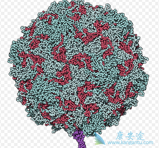 ��������ײ���