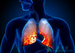 ����������ͻ��ķ��۰�����Щ���õİ���ҩ�