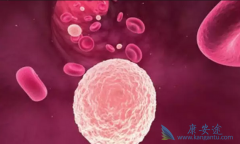 ���������쳣�ۺ�֢����Щ��̬���ֺ�֢״���֣�