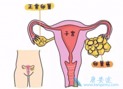 ����ҽ���̵������ѳ������Ƶİ���ҩ�ﶼ����Щ