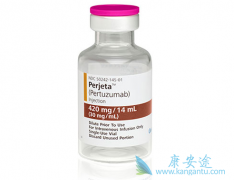 �����鵥�������鵥��˫��������HER2�������ٰ�����Ч����ô����