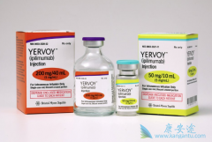 ���߼������Ƽ��������ƿ������ڸΰ�������