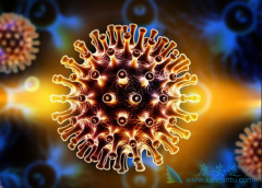 ������Τ��(INSTGRA)����ҩ�ǲ����Ժ�ֻ�ó���һ��ҩ�͹��ˣ�