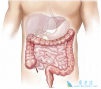 �������ƽ᳦������EGFRΪ�е��ҩ������Щ��