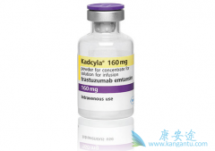 T-DM1/�����鵥����������HER2���Եķΰ�������