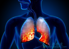 ���ڷ��۰����߽��л������Ǳ�Ҫ������