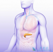 ���ٰ������ܻ��ã�����ӳ������ڣ�