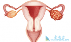 �����ѳ������ߵ��Ƽ����Ʒ�������Щ��