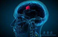 ����������ҩ��ΰ���ɢ����������������ô�죿