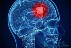 ����������Щ���ࣿ���������������κ���