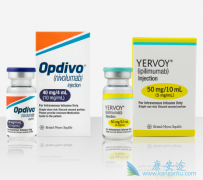 CTLA-4���Ƽ�Yervoy���������ں�ɫ�������ߵ�����