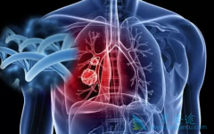 ���������ܺϲ��ΰ���ת�ƵĻ��߿ɳ���ɫ����������