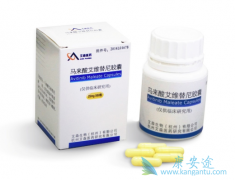 ������EGFR-TKI��ά���������Ч������