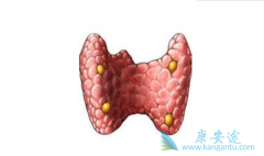 ��״��������������״��������ʲô��ͬ��