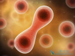 ������������ʧ�ܵĶ��Լ�Ƥ����ô�죿