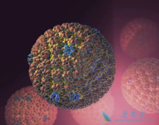 �����������Ͱ��̲���ʲô��ϵ��