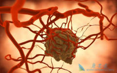 ���׺�������������ʲô��������������ЩΣ����