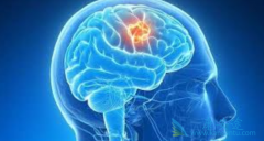 ����ʹ���ֻ���Ļ������Բ������Ļ�������