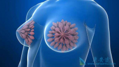 �������ٰ��ڷ�������ʱ���ֹ��ܶ��½�����ô�죿