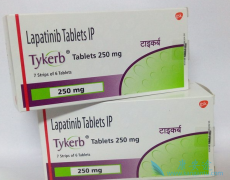 �������������HER2�������ٰ��ĸ������Ʒ�����