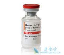 HER2�������ٰ�������ѡ�����鵥����