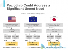 ��������(Poziotinib)�������ٰ����ߵ���Ч����
