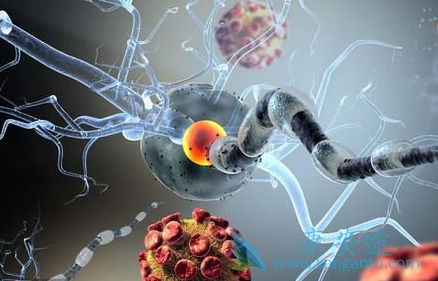 ������ܰ���