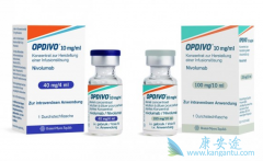 ���߼������Ƽ��������ڽ�ֱ�������ߵ�������