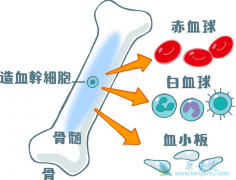 Ѫ����Щ֢״���ð��֢״���ƣ�