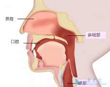 ���ʰ����ƹ�������μ��ᾱ����άӲ������ķ�����