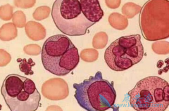 ��ά��ǰ������ά������«��������