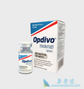 ��ֱ��������ʹ�����߼������Ƽ�����Ч������