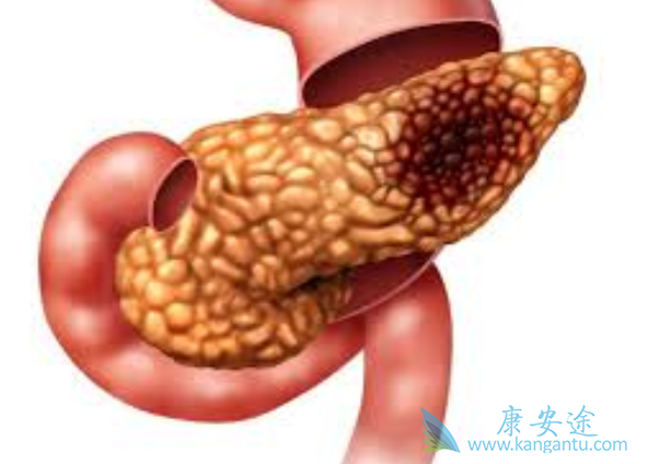 ���ٰ������ܻ���