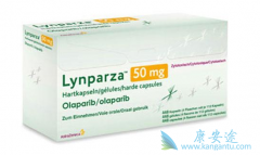 �������ᵥҩά�����ƿɸ��Ʋ����и������ѳ�������PFS