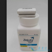 ��������������(Zejula)�Ը������ѳ�������Ч��