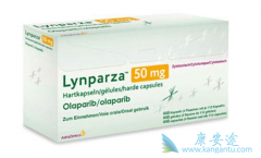 ��Ȱ�ο��������������BRCA����ͻ���ѳ�������6���޽�չ������