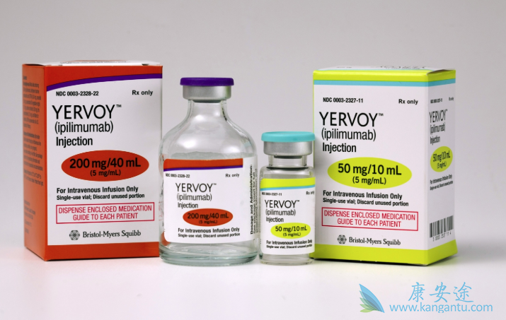 ���߼������Ƽ�