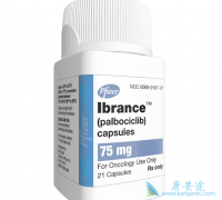 Palbociclib/IBRANCE