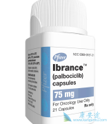 Palbociclib/IBRANCE˻ߵPFS